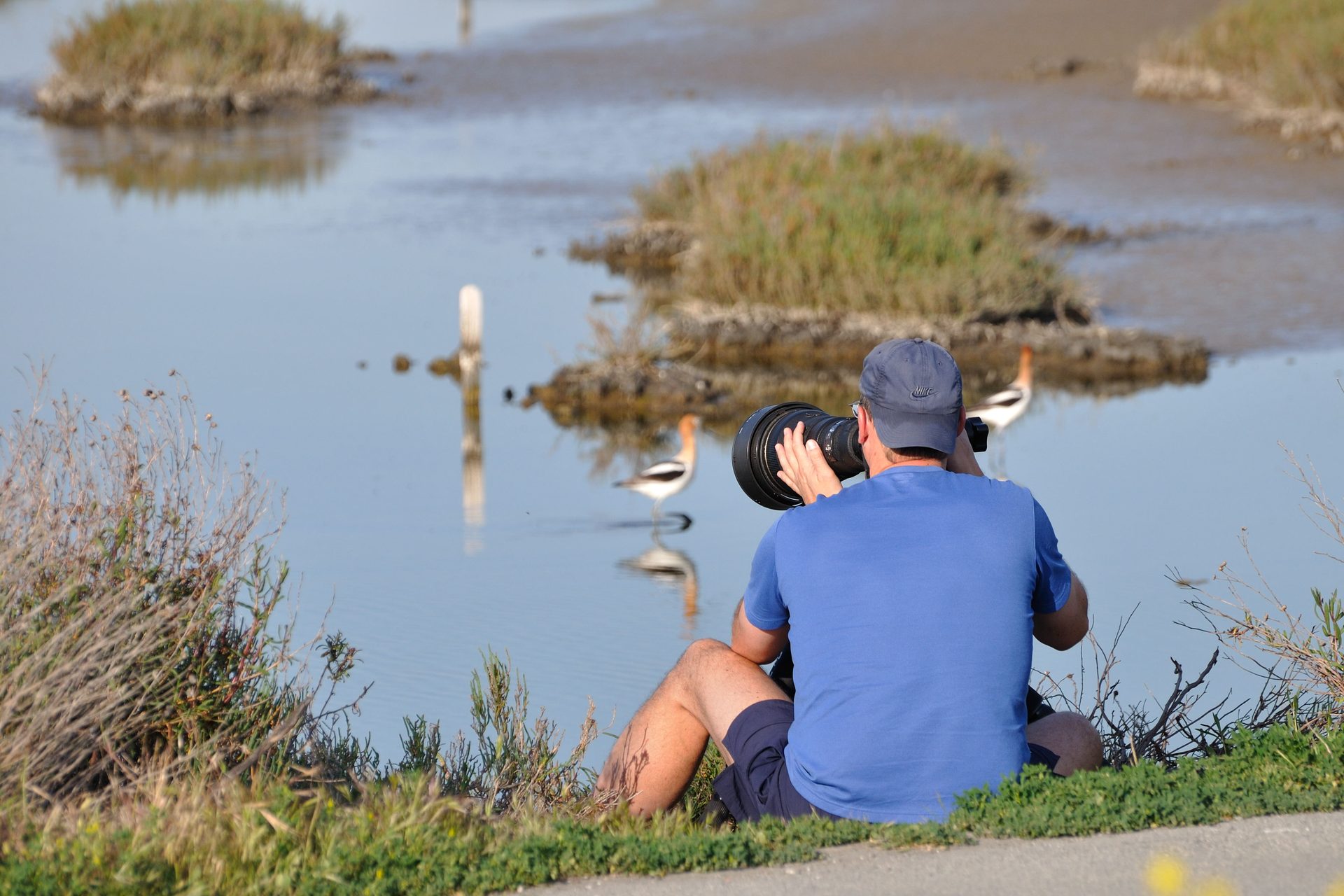 The Basics of Bird Photography